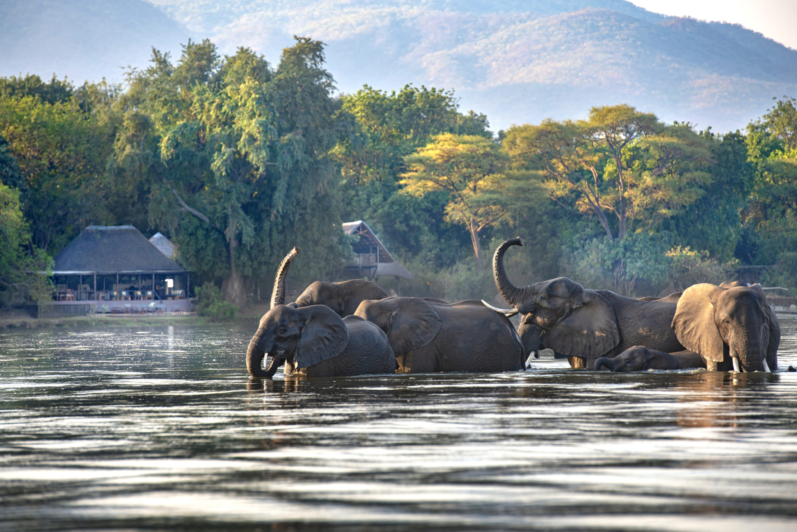 Why visit zambia f p travel the luxury travel experts